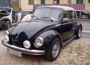 Käfer 10