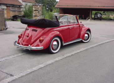 Käfer 3